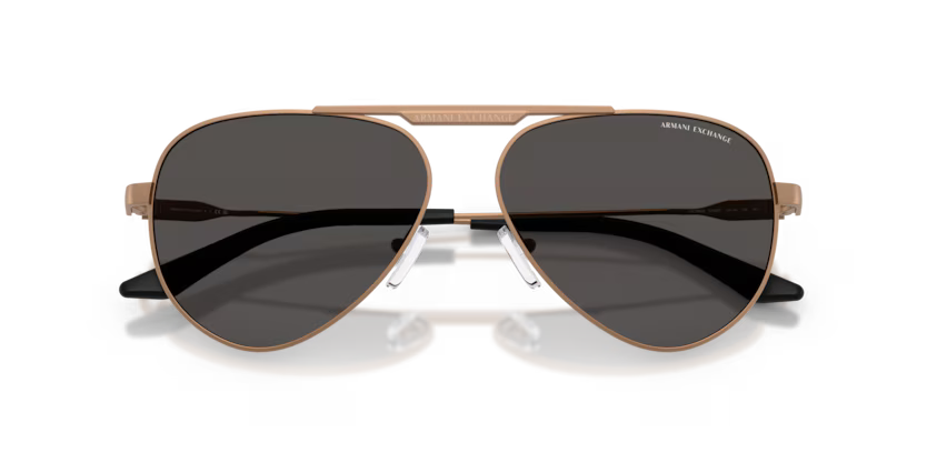Armani Exchange 0AX2060S- Bronce mate