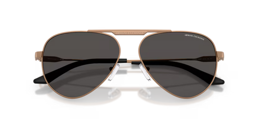 Armani Exchange 0AX2060S- Bronce mate