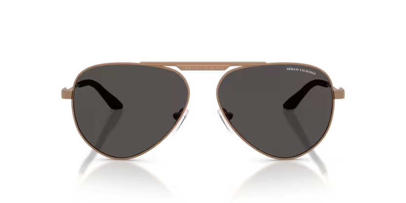 Armani Exchange 0AX2060S- Bronce mate