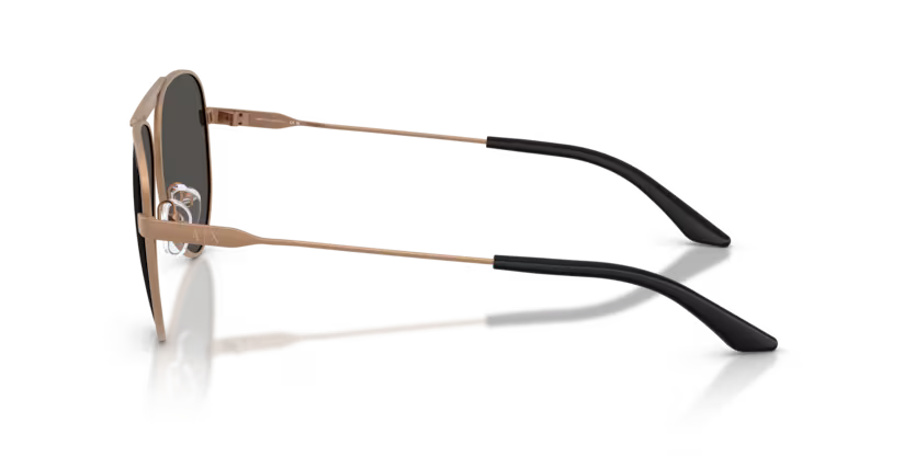 Armani Exchange 0AX2060S- Bronce mate