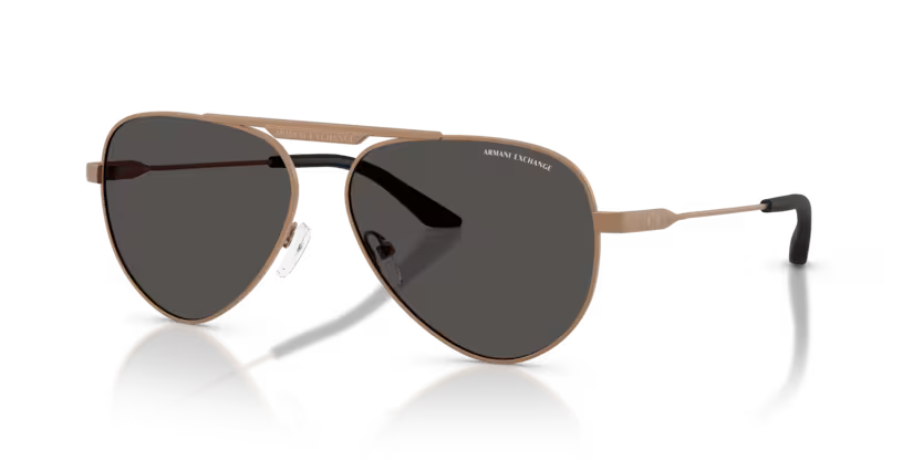Armani Exchange 0AX2060S- Bronce mate