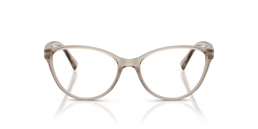 Armani Exchange 0AX3053 Tundra traslúcido brillante