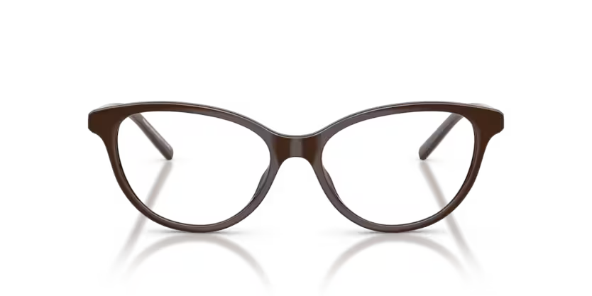 Armani Exchange 0AX3138U Marrón oscuro brillante