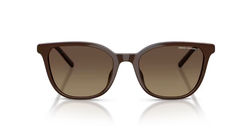 Armani Exchange 0AX4168SU Marrón oscuro brillante