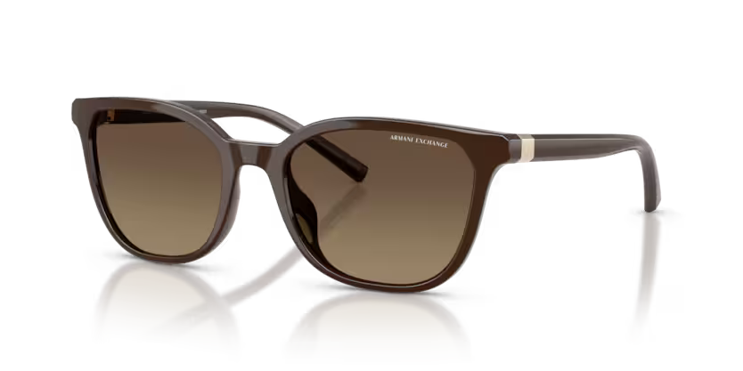 Armani Exchange 0AX4168SU Marrón oscuro brillante
